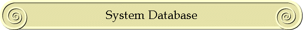 System Database